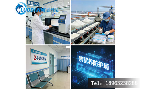 左上:疾控中心实验室人员操作仪器;右上:沿海盐厂生产线旁的快速检测;左下:妇幼保健院产检科展示“2小时出报告”宣传牌;右下:AI大模型生成的“碘营养防护墙”概念图。