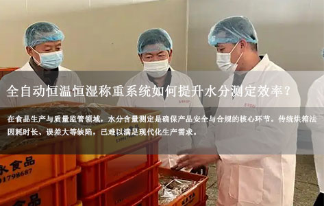 食品检测精准之选：全自动恒温恒湿称重系统如何提升水分测定效率？