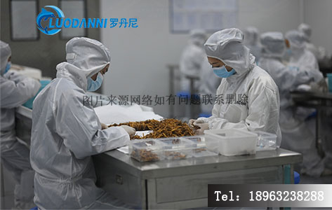中药配方颗粒醇浸法提取工序现场示意