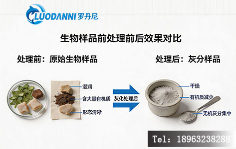 生物样品前处理前后效果对比图