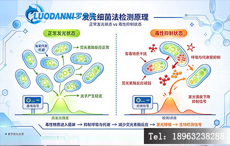 发光细菌法检测原理示意图——正常发光状态vs毒性抑制状态对比