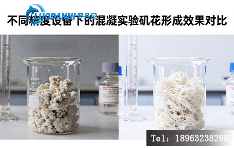 混凝实验矾花形成效果对比图(不同精度设备对照)