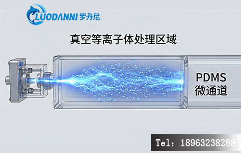 真空等离子体处理 PDMS 通道原理示意图