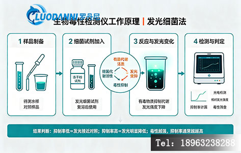 生物毒性检测仪发光细菌法检测原理示意图