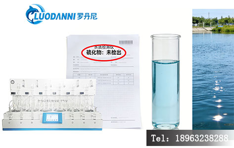使用罗丹尼LDN-6Splus检测海鲜养殖水体硫化物的报告单示例