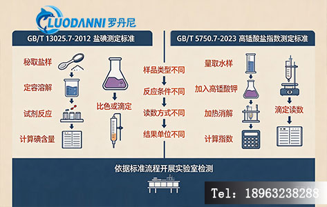 双国标检测方法核心流程对比示意图
