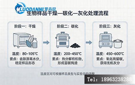 碳化灰化处理流程示意图
