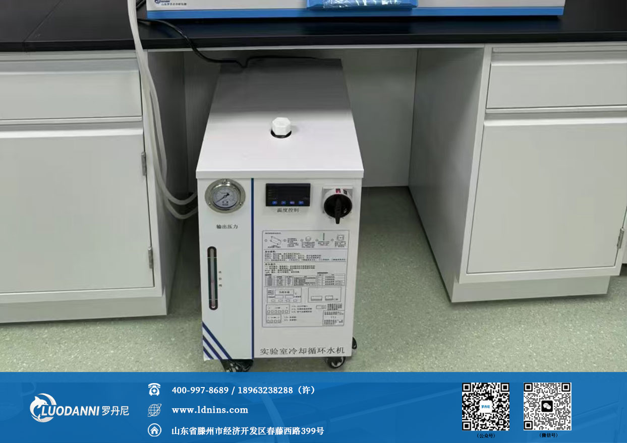 罗丹尼 LD-6ZY/SP 二氧化硫残留量测定仪-配套冷水器