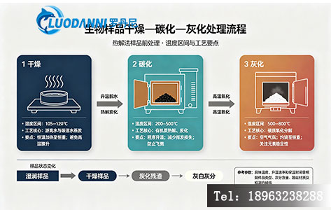 生物样品干燥 — 碳化 — 灰化处理流程示意图