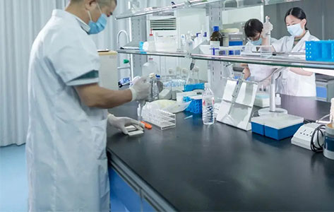 智能一体化蒸馏仪LD-601助力华南食品出口检测单位,高效应对酒类与水产品大批量检测需求