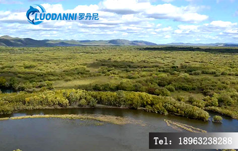 额尔古纳市生态环境监测中心采购罗丹尼WRLDN - 6300全自动恒温恒湿称重设备——精准监测筑牢生态保护防线-4