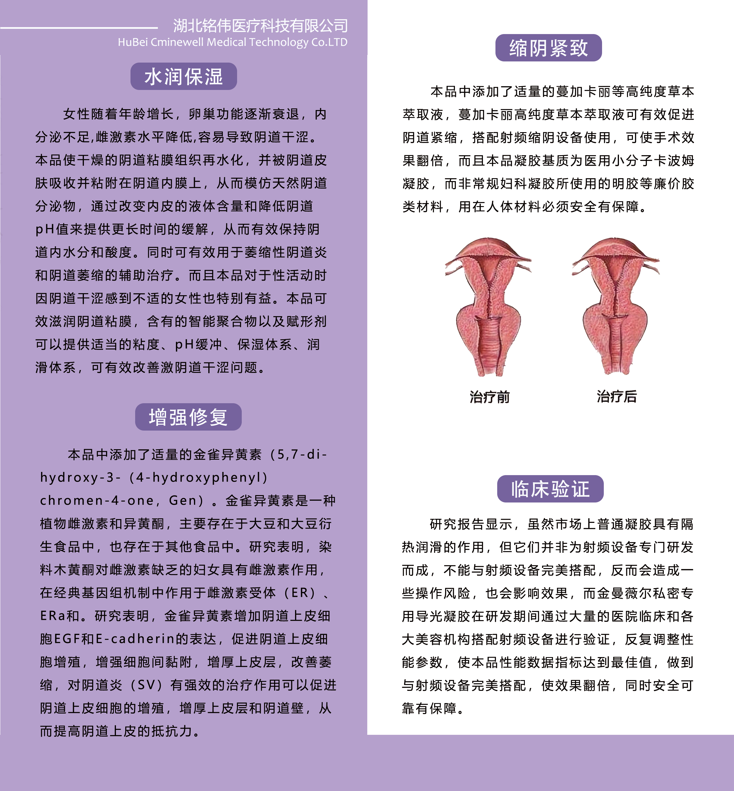 金曼薇尔 导光凝胶（紧致型）