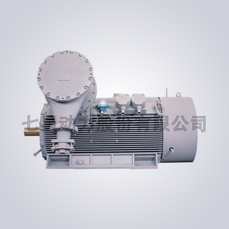 TYCPX系列低速直驅永磁同步電動機/TYCPX series low-speed direct drive permanent magnet synchronous motor