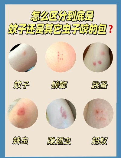 e74ed505f30b6a498d9f44b5487fd407