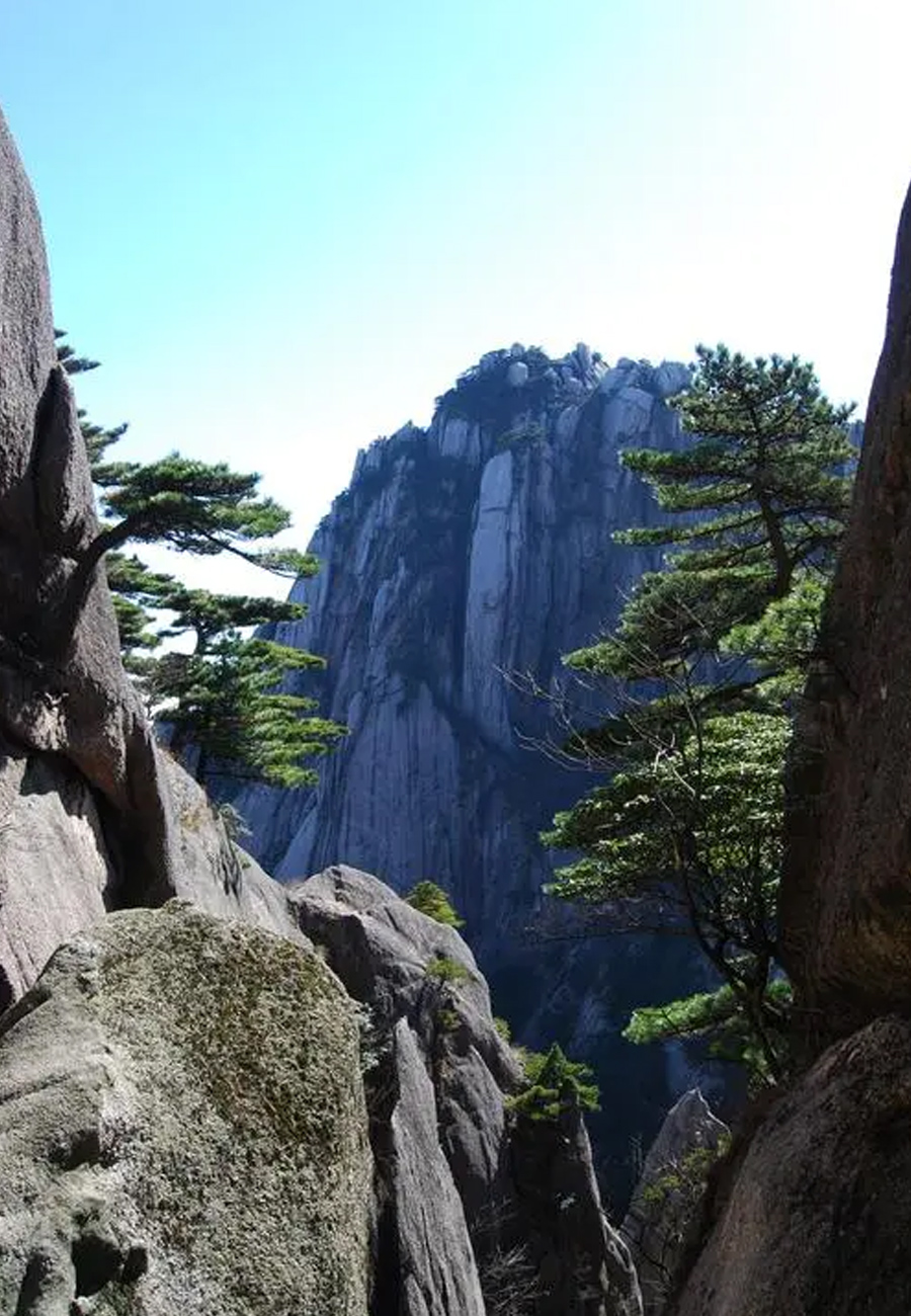 【大美千島】黃山.千島湖純玩四日.覽世界自然遺產(chǎn)-黃山（感受黃山-天下無山）船暢游天下第一秀水 國家5A級景區(qū)【千島湖】 （每周二、四發(fā)團）