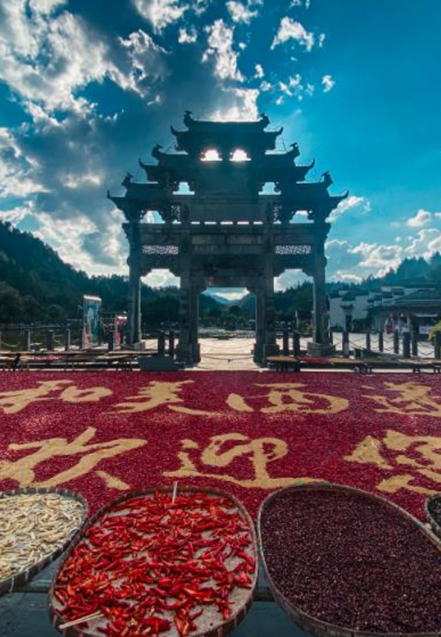 【醉美黃山-西遞.宏村】純玩四日【體驗真正的純玩之旅】.（每周二、四發(fā)團）