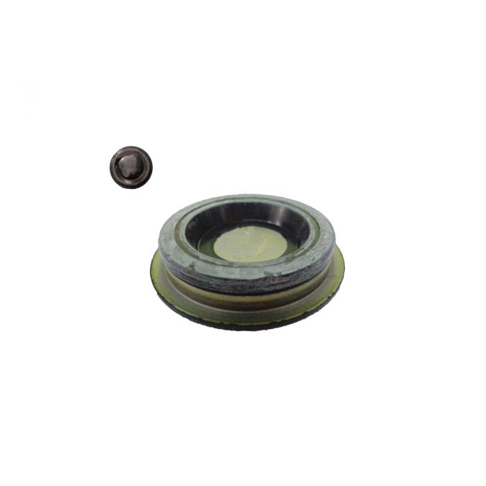 55541-21580  CAP 2 ROLLER