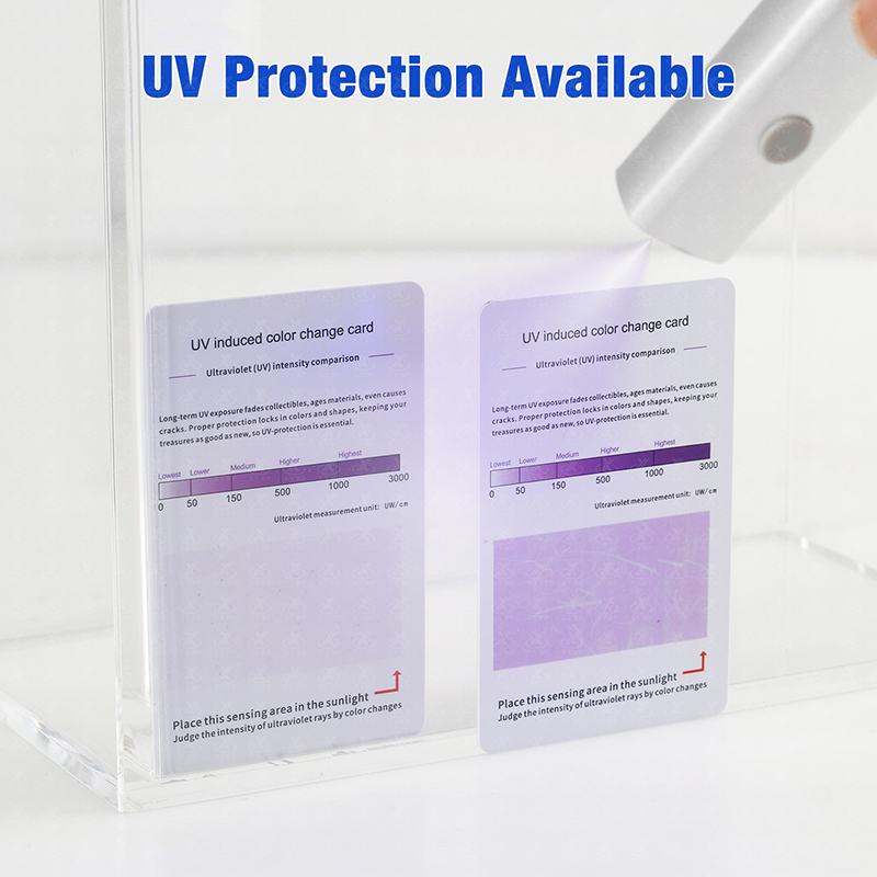 宝可梦日版10包卡包收纳盒