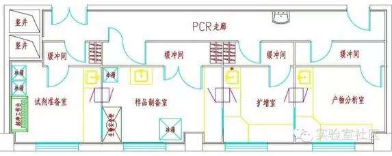 DNA實驗室要求