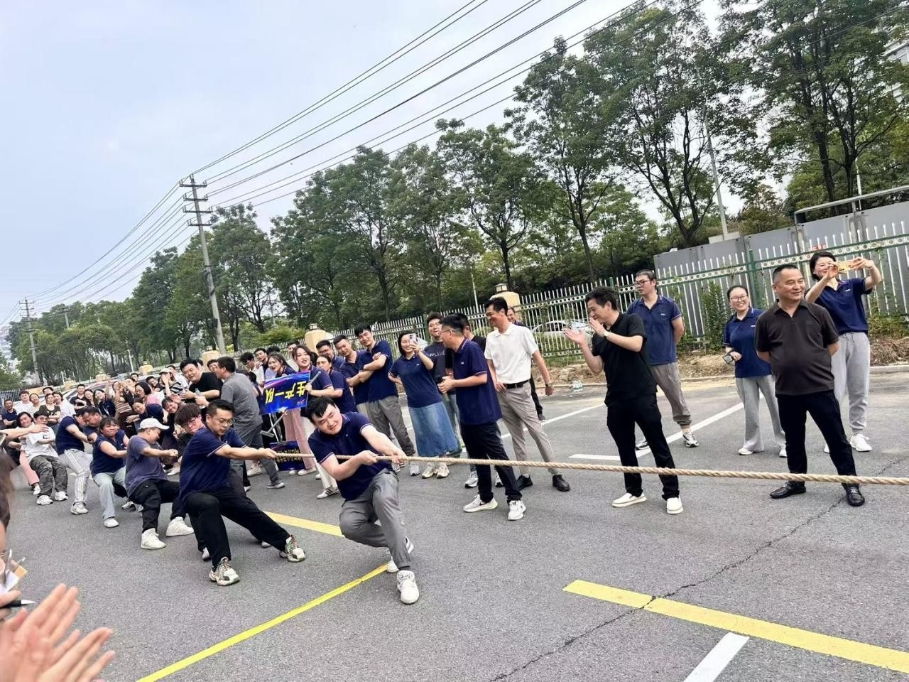 图片1(1)