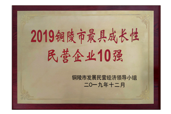 铜陵市民营企业10强