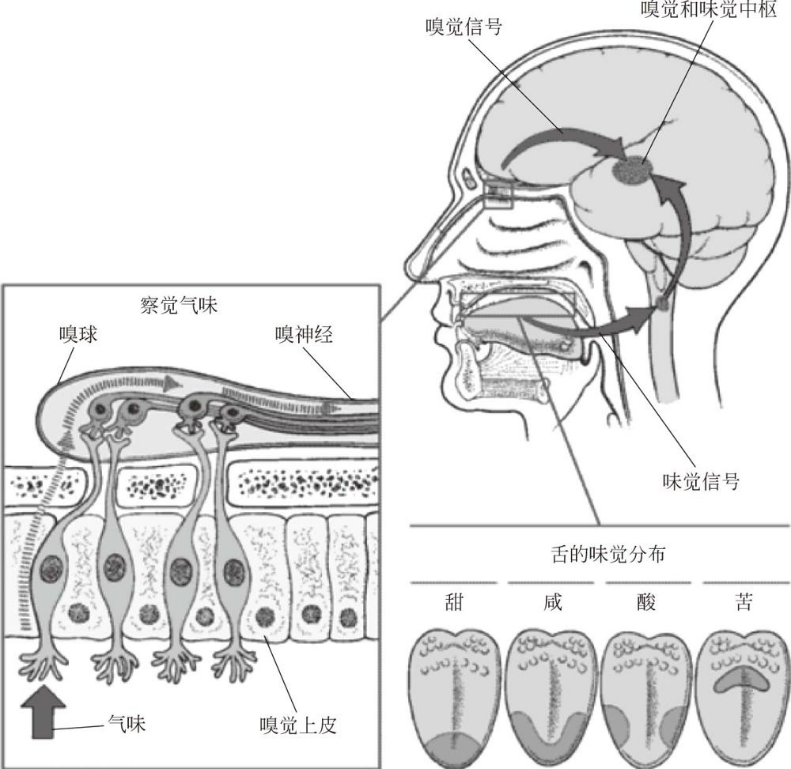 图片11