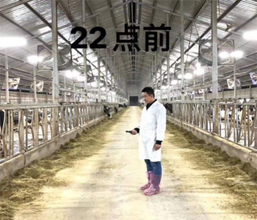 牛舍照明专用灯