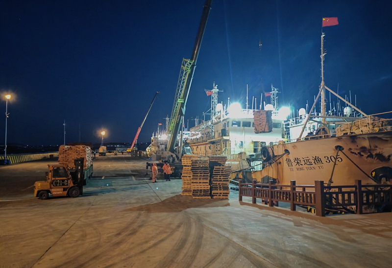 挑灯夜战卸鱼货