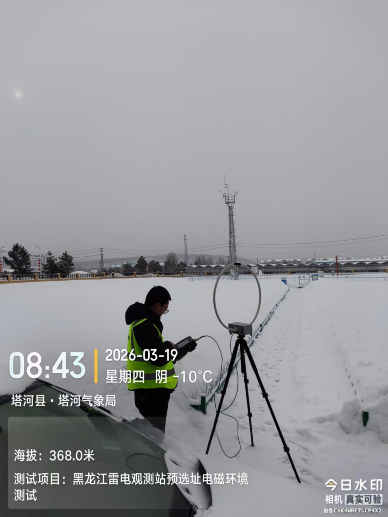 塔河