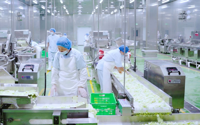 金德利拥有一体化现代大型净菜车间