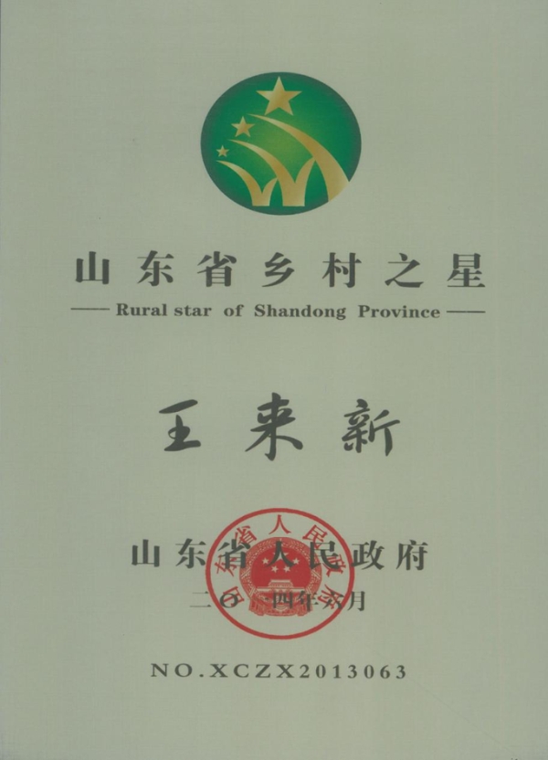 山东省乡村之星