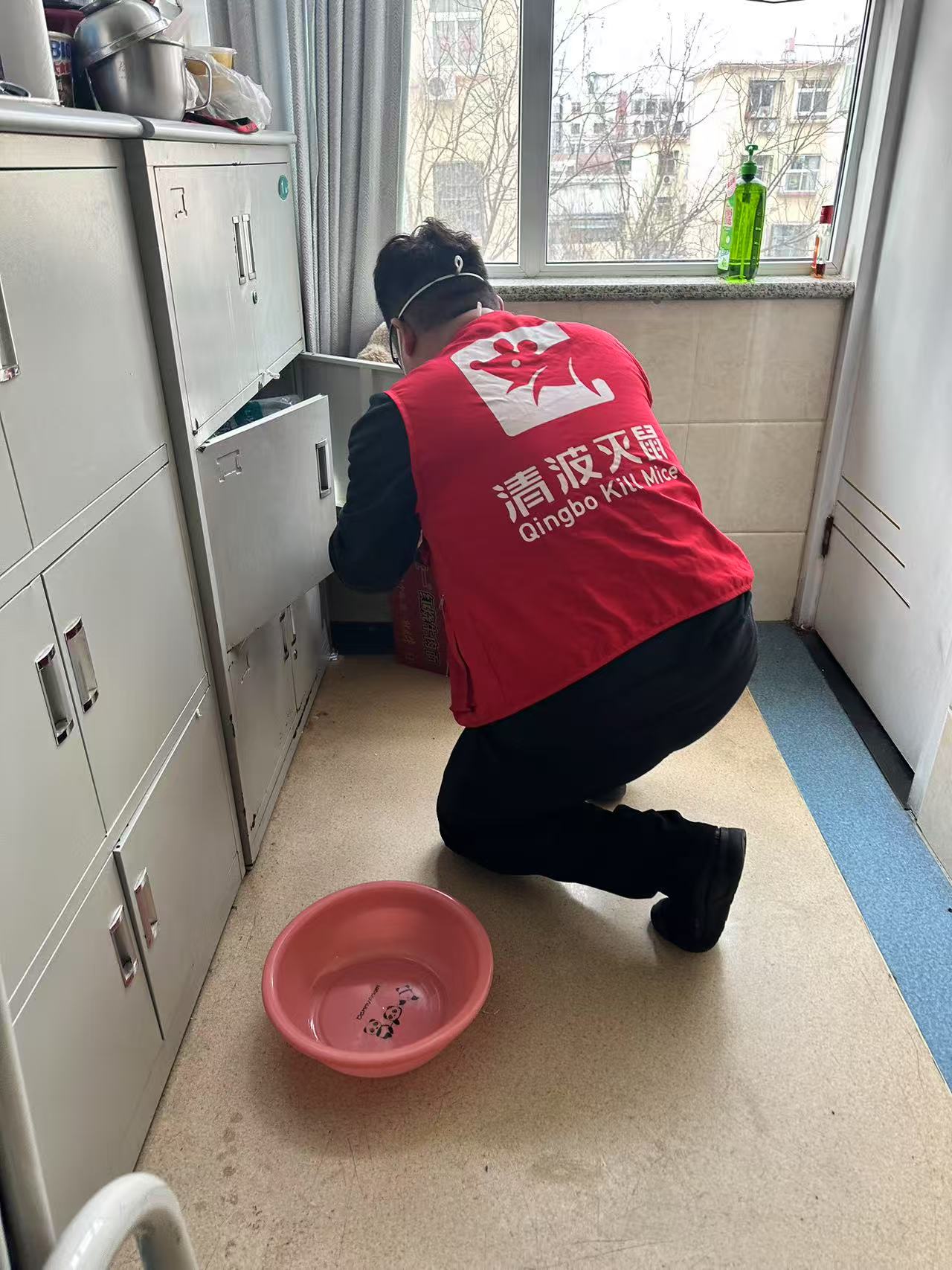 医院灭四害