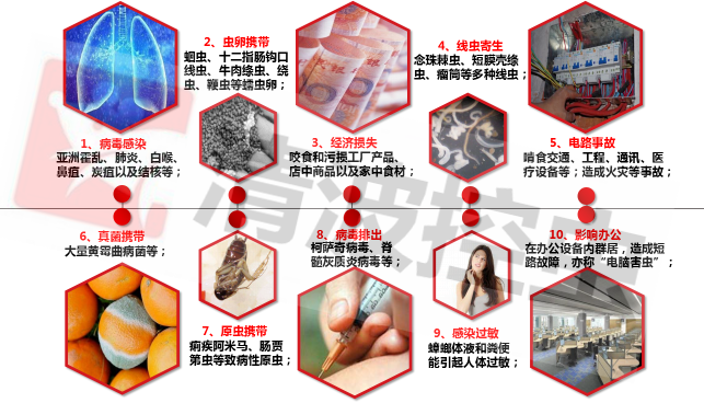 灭蟑螂1