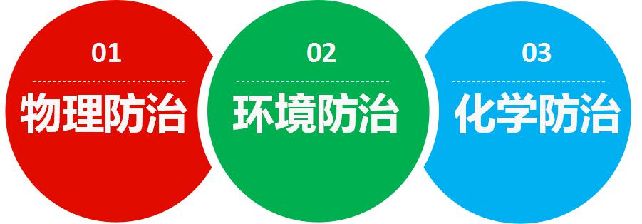 臭虫1