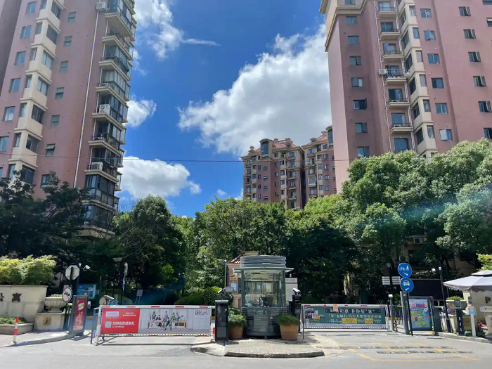 小区去白蚁