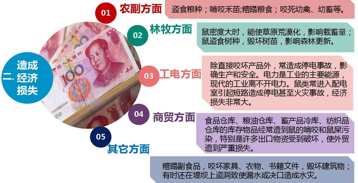 灭鼠