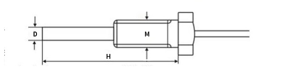 WP211带探头螺纹安装温度传感器