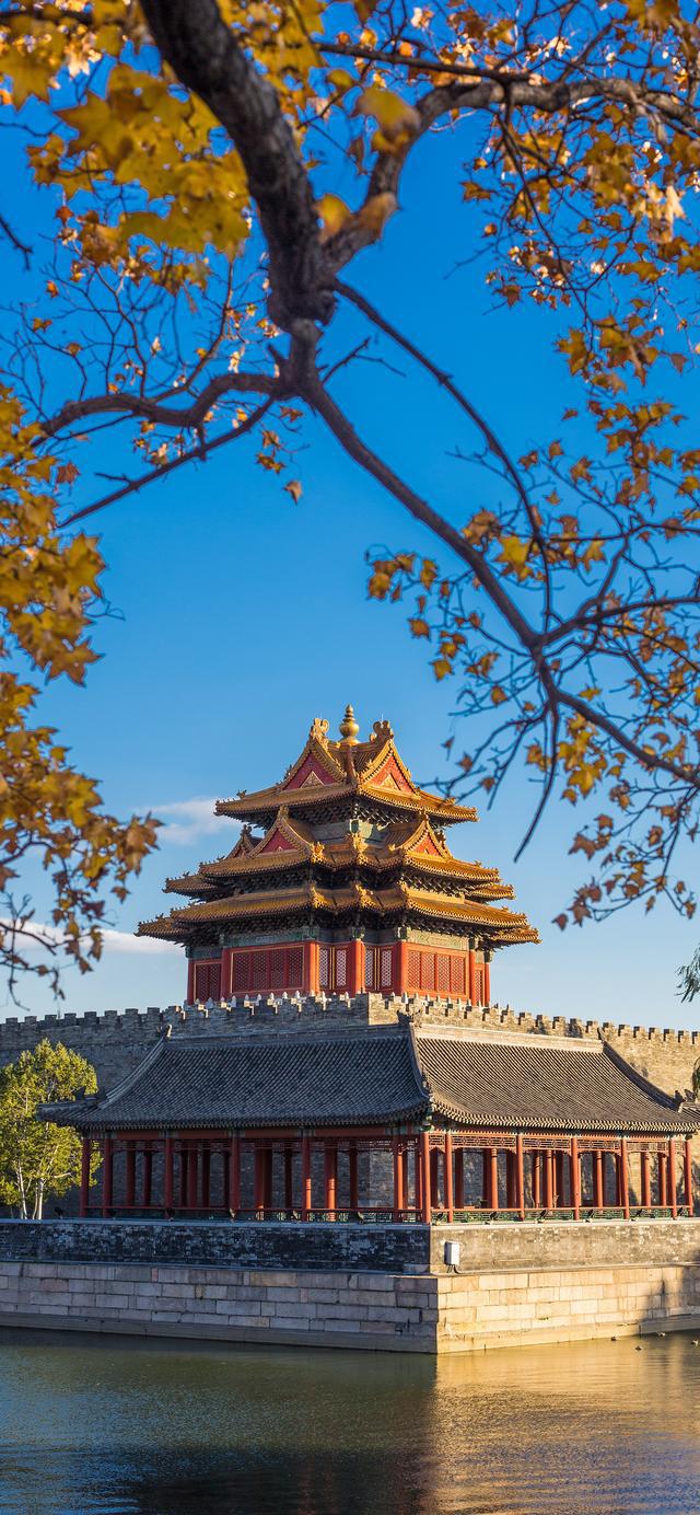 85e69e97489812209d6693c1f88fc044