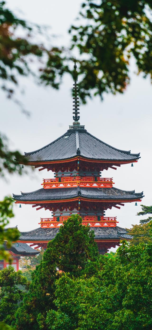 825446d72daba5f5cc3530a8fcaee7a9