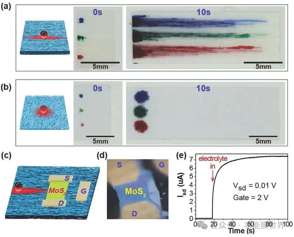 3Advanced Materials| 木头变透明薄膜?科学家打造高性能“绿色”光学材料