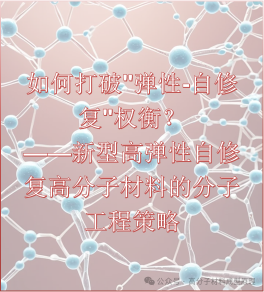 1新型高弹性自修复高分子材料的分子工程策略