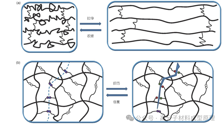 5新型高弹性自修复高分子材料的分子工程策略
