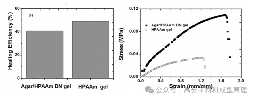 8新型高弹性自修复高分子材料的分子工程策略