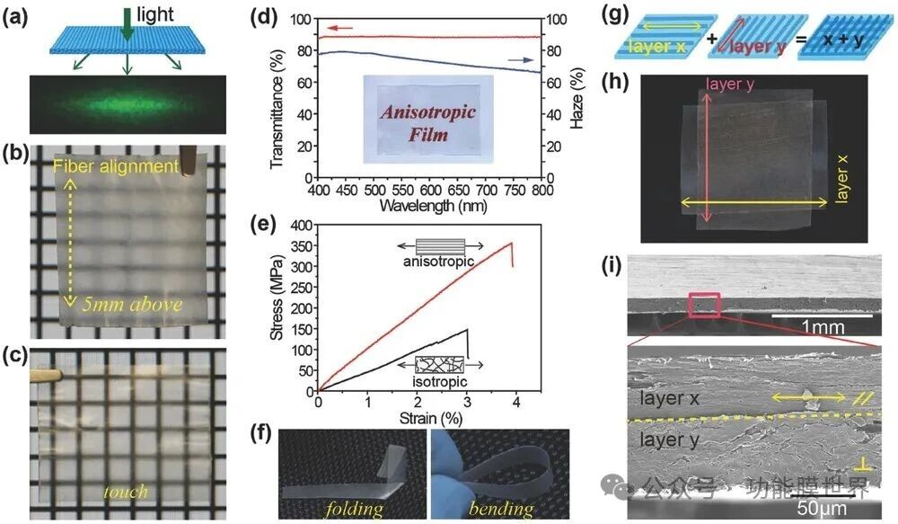 4Advanced Materials| 木头变透明薄膜?科学家打造高性能“绿色”光学材料