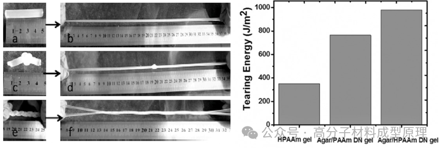 7新型高弹性自修复高分子材料的分子工程策略