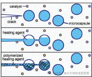 2新型高弹性自修复高分子材料的分子工程策略