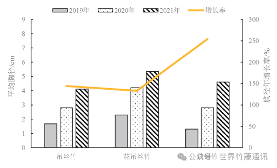 竹藤研究 | 3种牡竹属中型竹种在广西北部的适应性