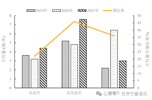 竹藤研究 | 3种牡竹属中型竹种在广西北部的适应性