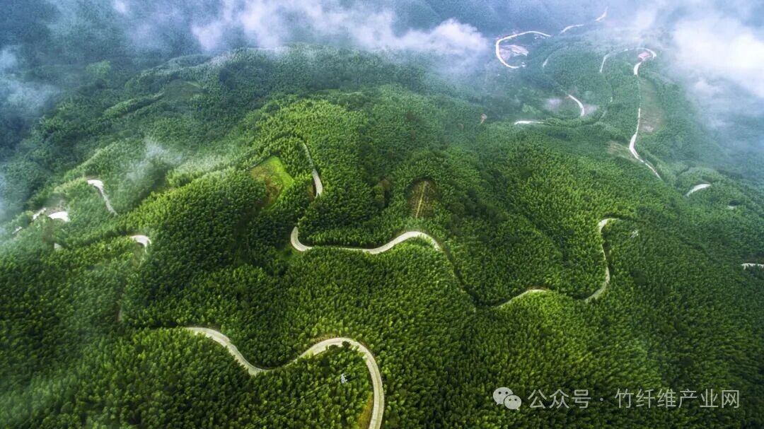 以竹代塑,一根竹子“撬动”超五千亿产业