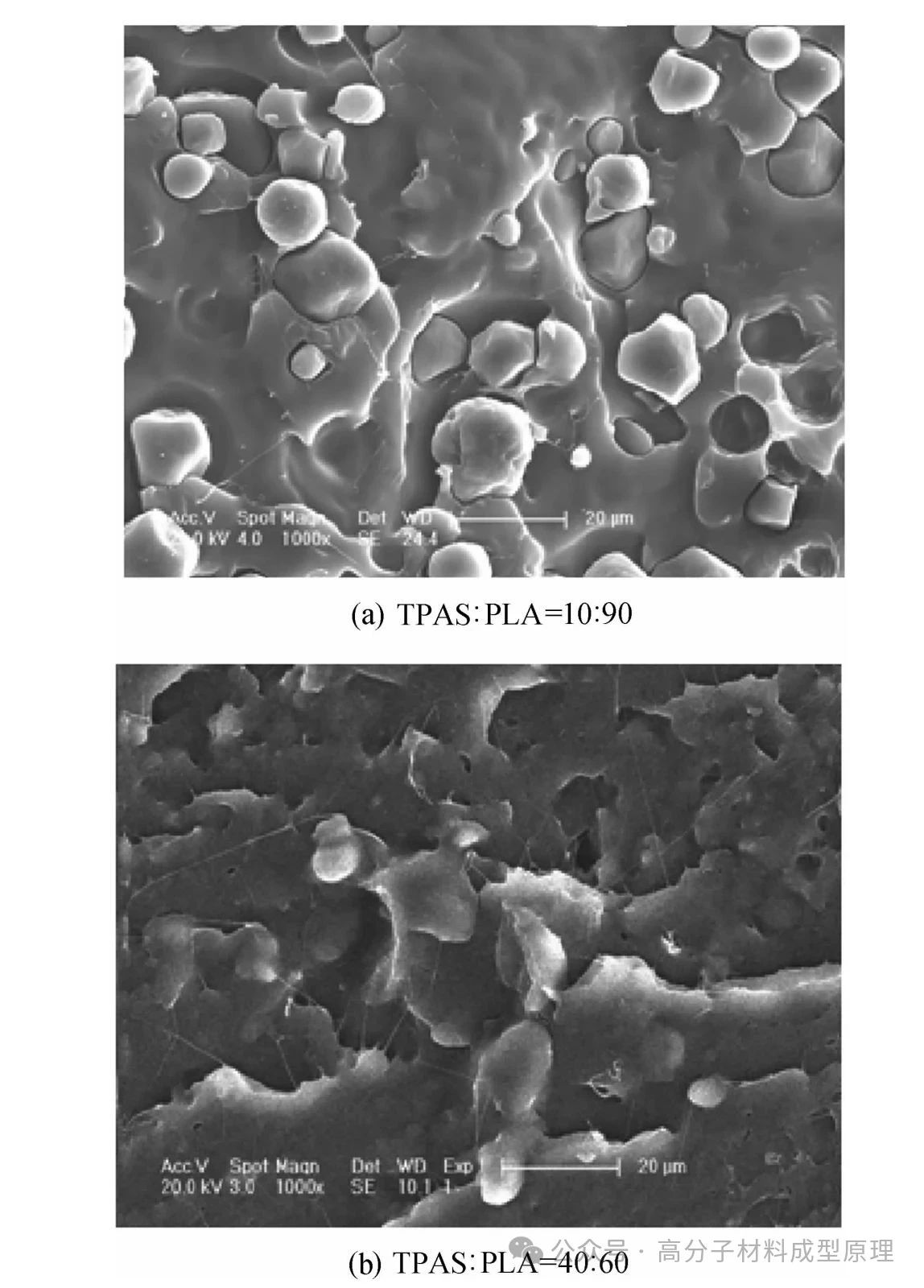 热塑性乙酰化淀粉(TPSA)复合薄膜研究案例分析